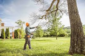  Bellerose, NY Tree Services Pros