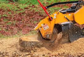 Best Lawn Maintenance Plans  in Bellerose, NY