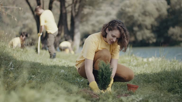 Best Grass Overseeding  in Bellerose, NY
